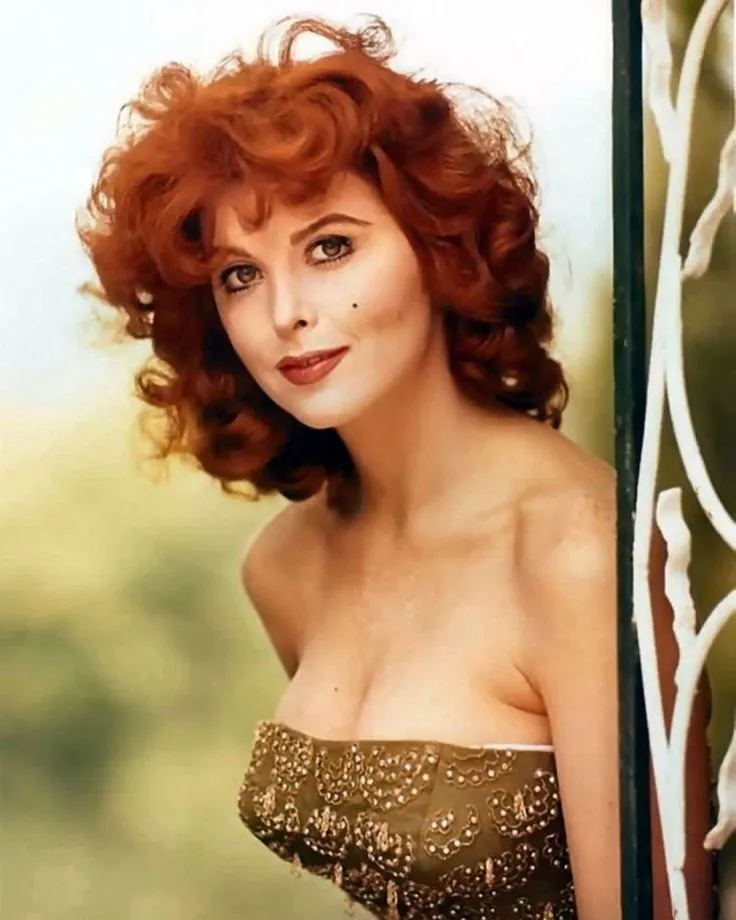 Tina Louise’s Incredible Journey: From ‘Gilligan’s Island’ to a Life of Reinvention